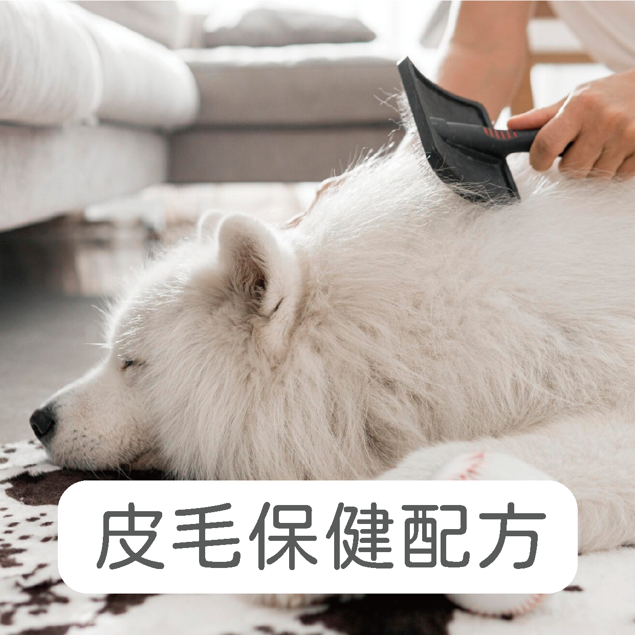 禾揚首頁-09