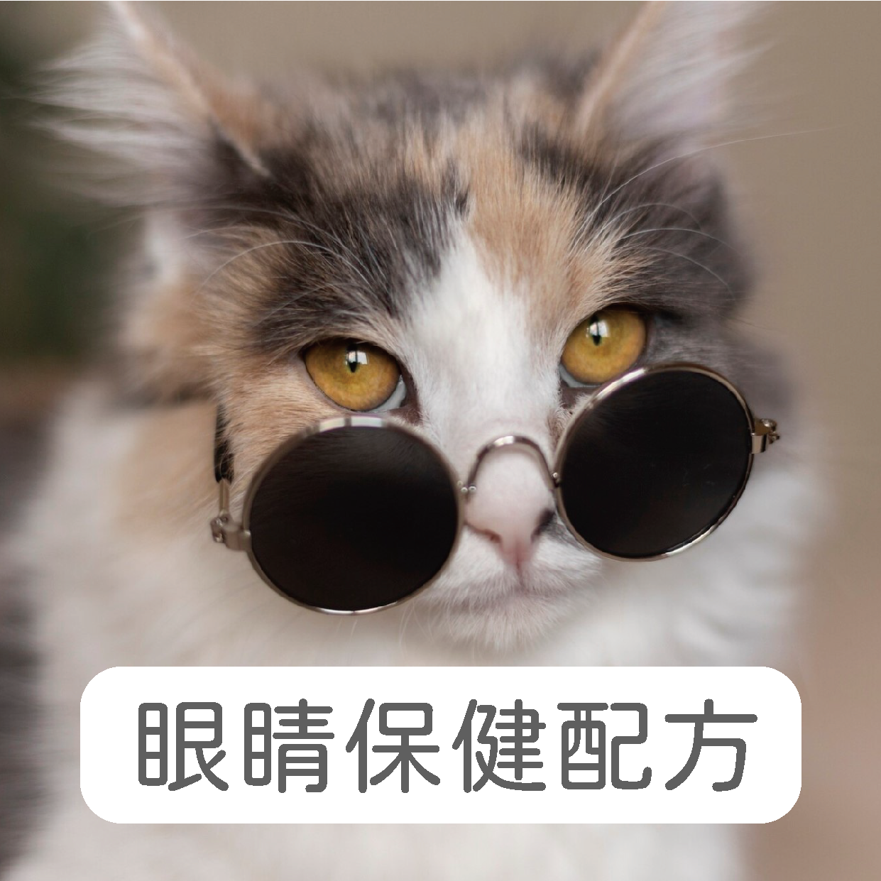 禾揚首頁-10