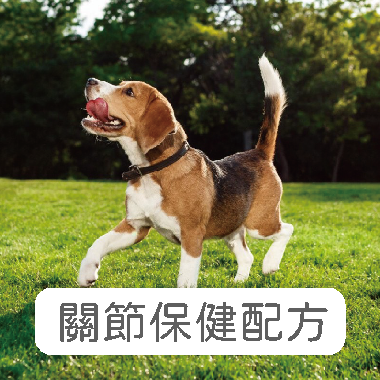 禾揚首頁-11