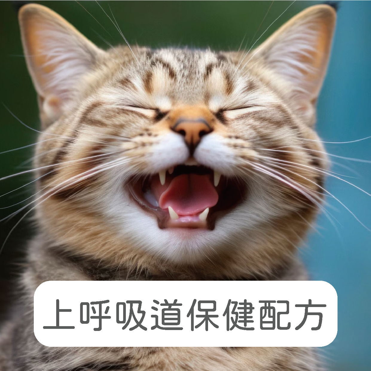 禾揚首頁-12
