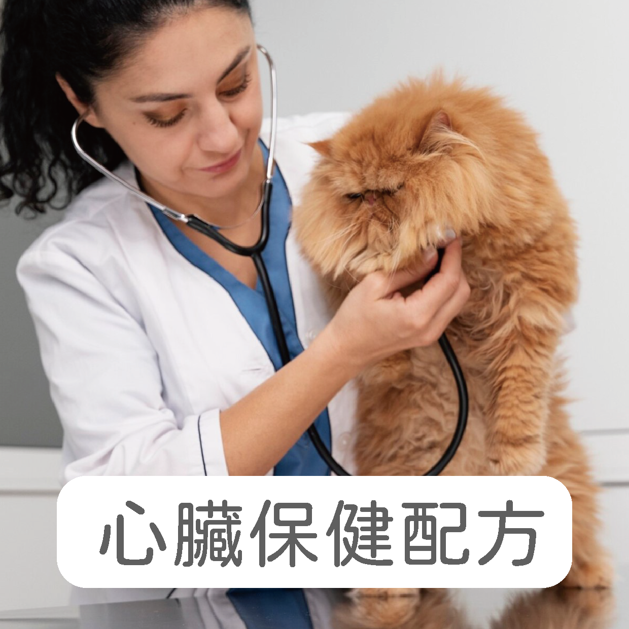 禾揚首頁-14