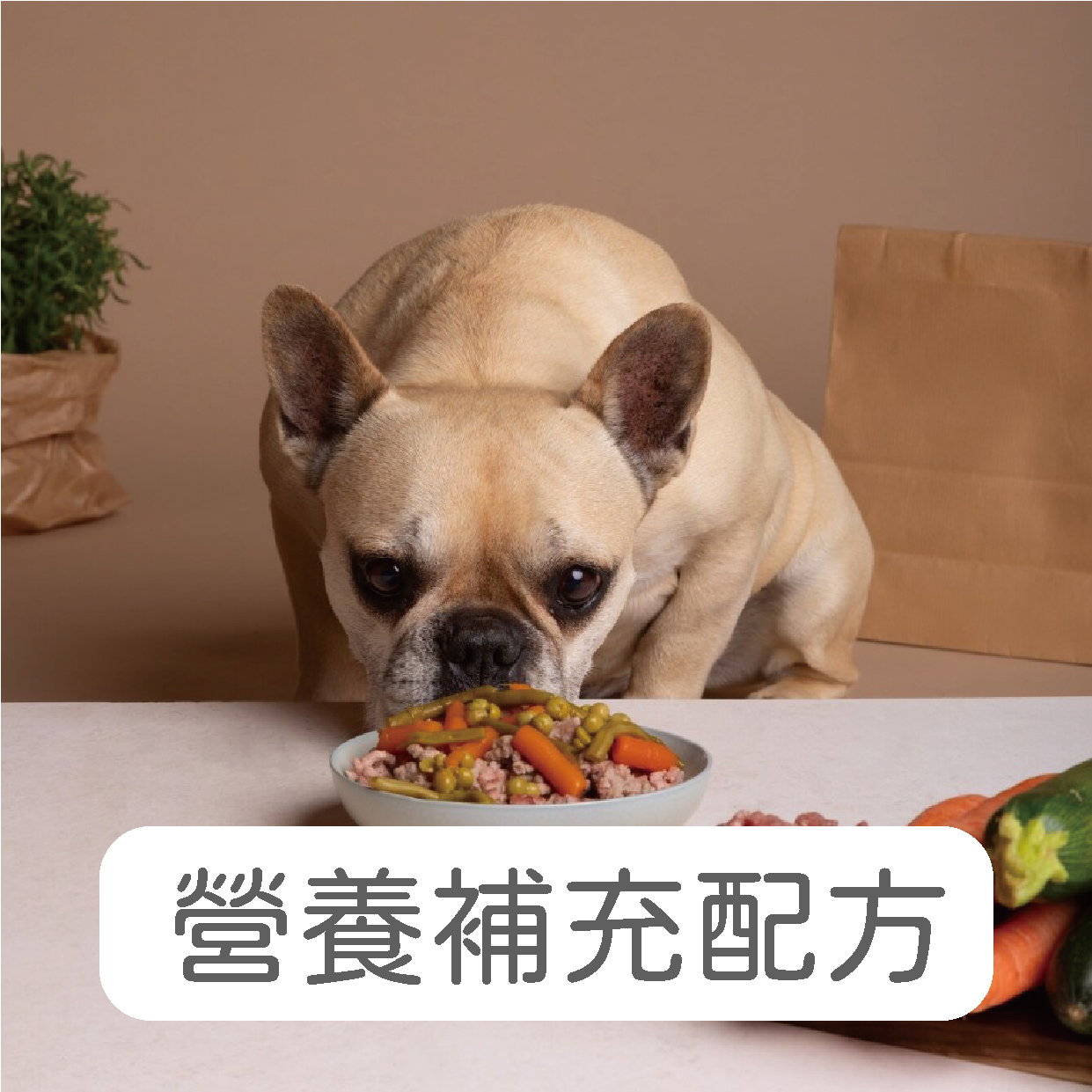 禾揚首頁-16