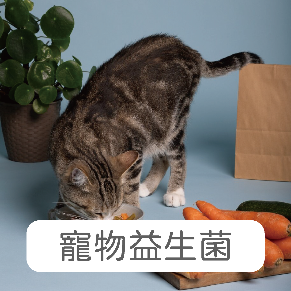 禾揚首頁-17
